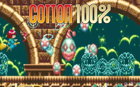 Cotton 100% - Featured Image
