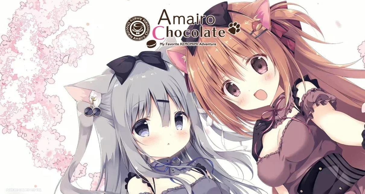 Amairo Chocolate Guide - Featured Image