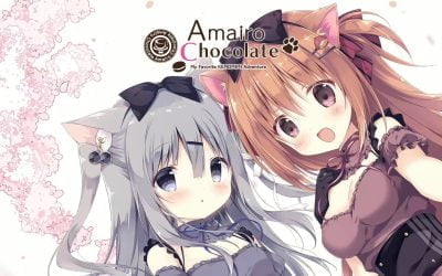 Amairo Chocolate Guide - Featured Image