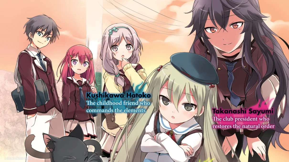 Interview with JP > EN Translator for Light/Visual Novels - Supernatural