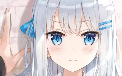 Light Novels: Where Should Beginners Start? (Light Novels for Beginners) - Featured Image