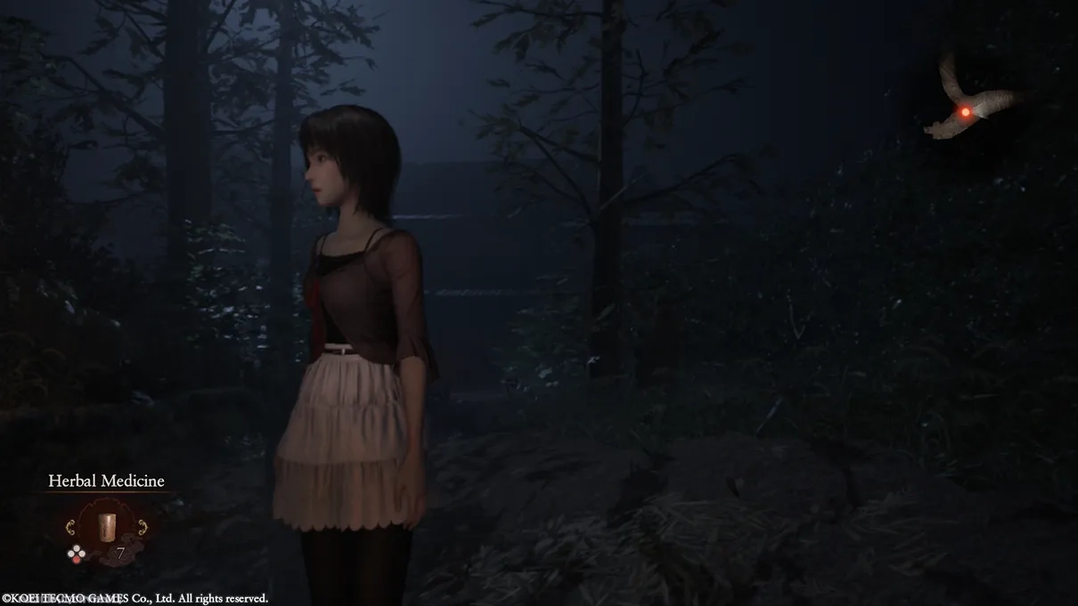 Wandering the woods