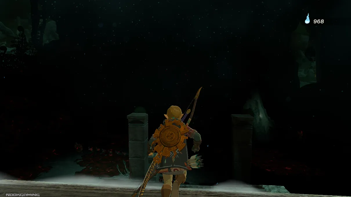 Back view of Link